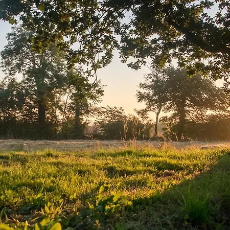 La Cour Souveraine -chambre D'hotes, La Sablonneuse 3*