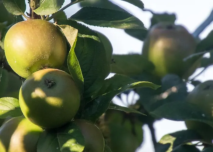 ベッド・アンド・ブレックファスト La Cour Souveraine -chambre D'hotes, La Sablonneuse