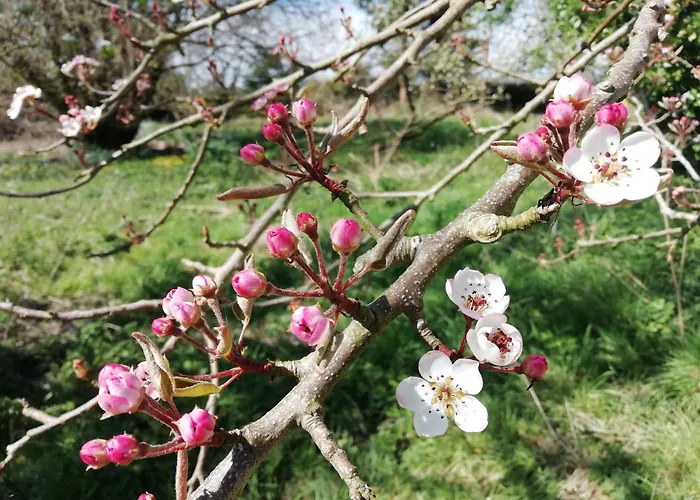La Cour Souveraine -chambre D'hotes, La Sablonneuse ベッド・アンド・ブレックファスト