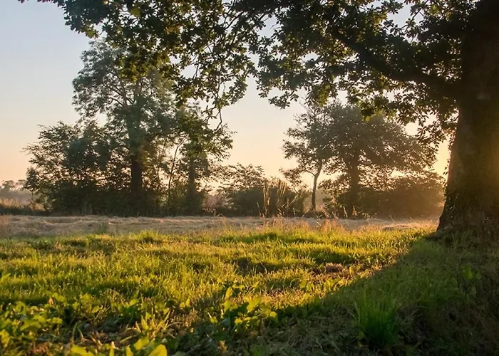La Cour Souveraine -chambre D'hotes, La Sablonneuse 3*